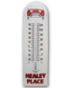 Thermometer Healey Place “Frog Eye”