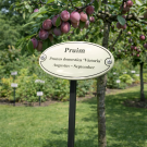 Bewegwijzering bord op paal